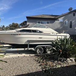 1982 SeaRay Cruiser