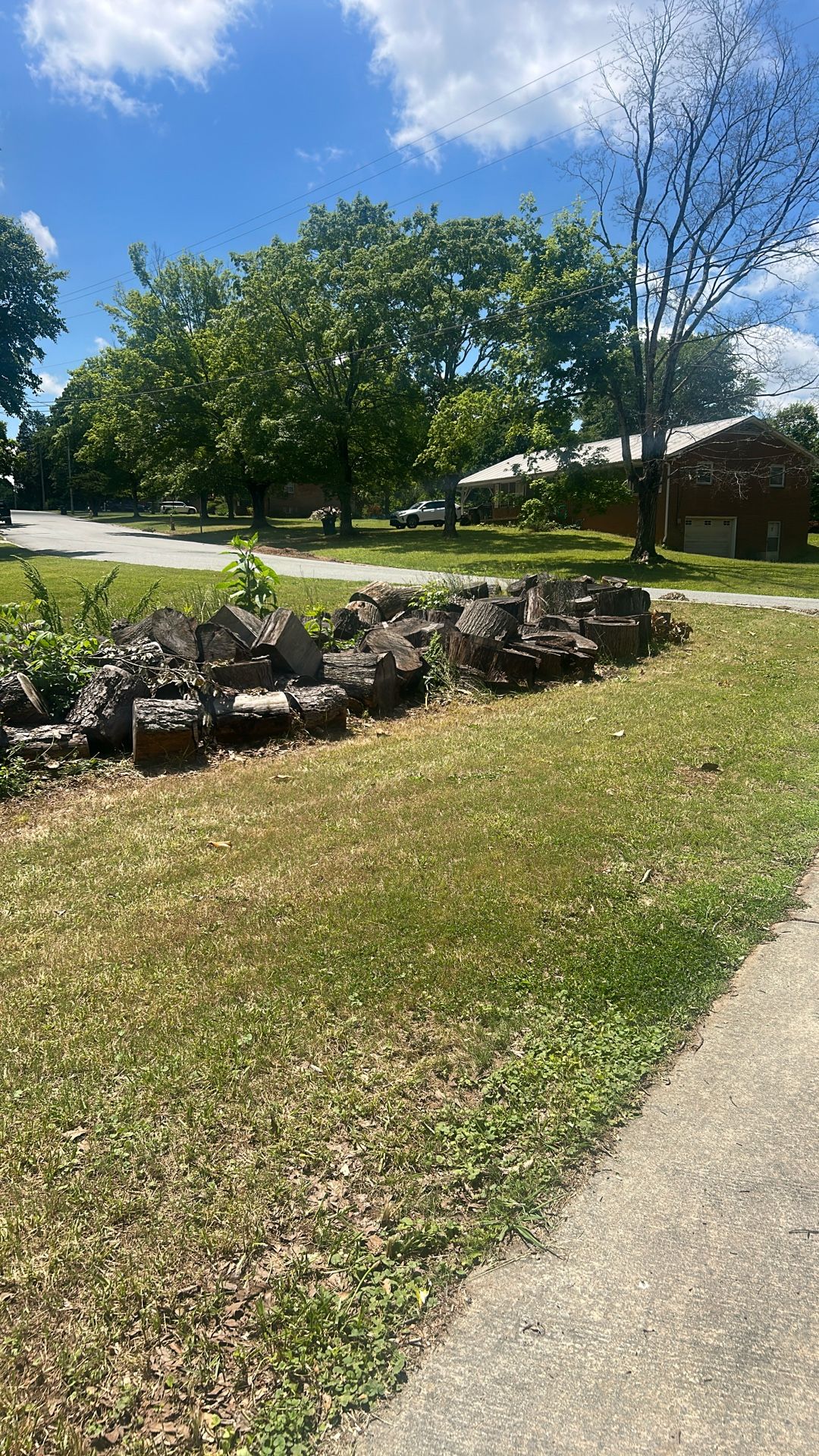 FREE FIREWOOD ! Must Pick Up