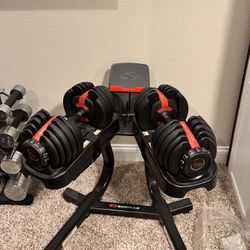 Bowflex 552 SelectTech Dumbbell Set With Stand