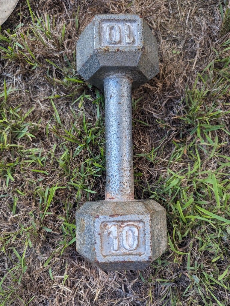 Single Dumbbell 10lb
