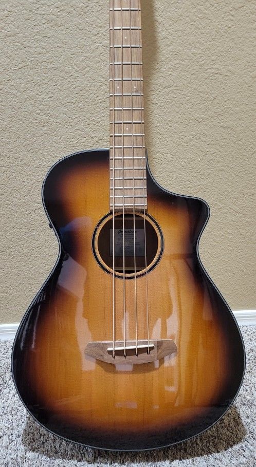 Breedlove ECO Discovery S Concert CE