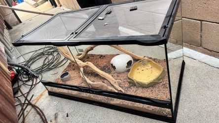 Terrarium