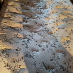 Mattress and box spring queen $50