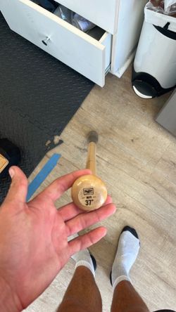 fungo wood bat
