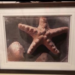 Starfish Portrait 17 1/2"W x Approx 21 3/4"L