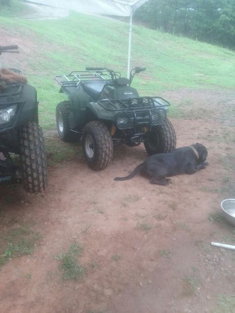 2007 Kawasaki Bayou 250