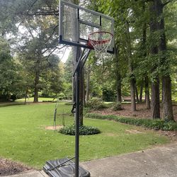 Lifetime Basketball Hoop $50