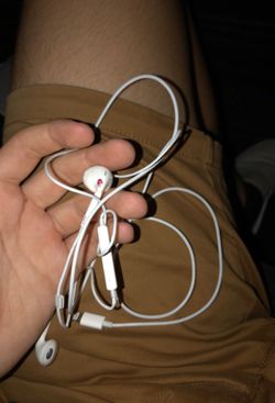 Earphones