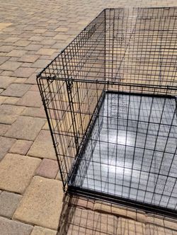 A Brand New Dog Cage Thumbnail