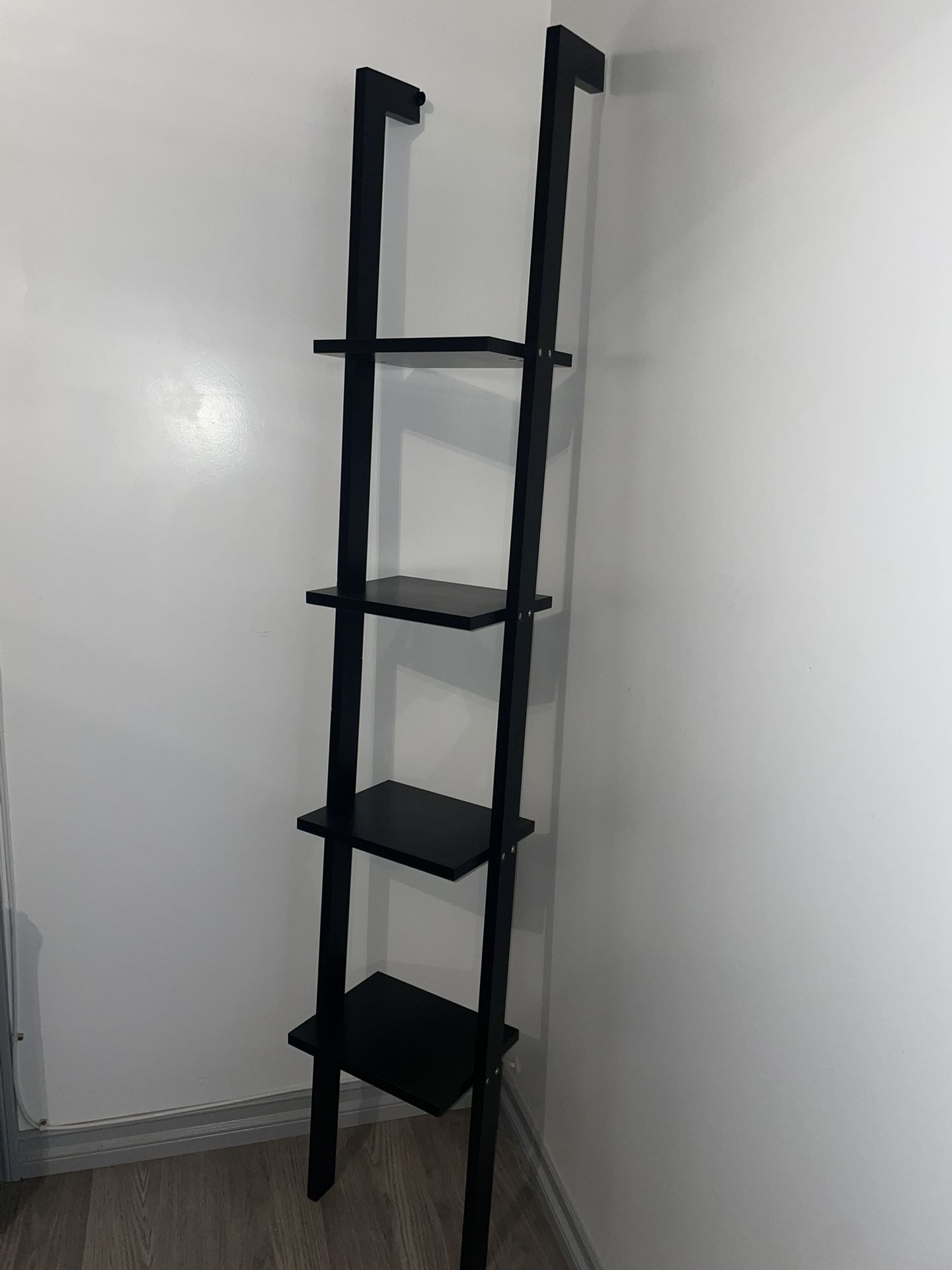 Ladder Shelf