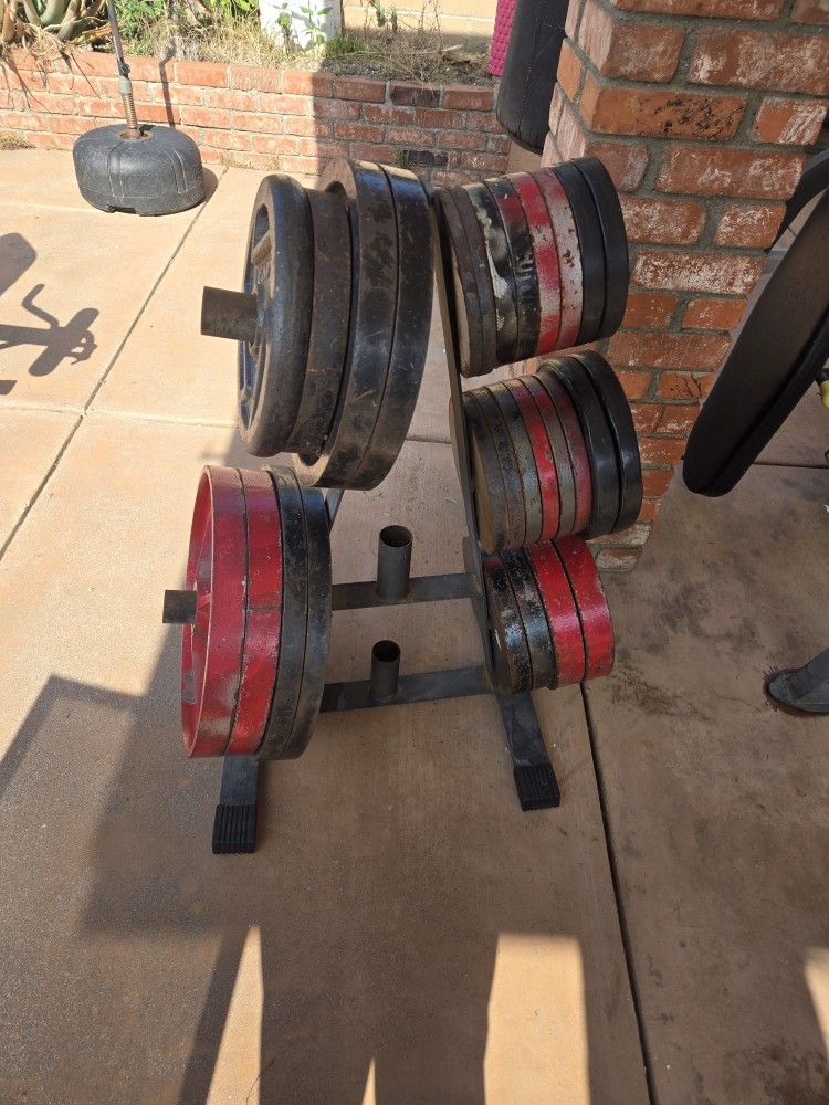 Olympic Weights With Rack And Bar