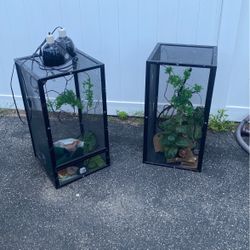Reptile Cage 