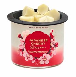 Wax Melts 4oz - Bath and Body Works - Japanese Cherry Blossom