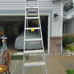 8  Foot Metal Ladder 