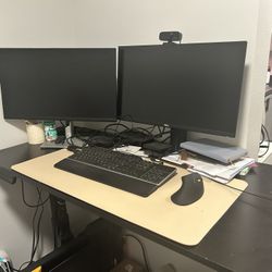 Sit Stand Desk