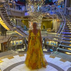 STAUD Women's Yellow Dandelion Printed Organza Maxi Dress SIZE 8 PRE OWNED LUXURY