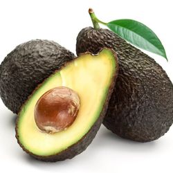 Avocado Hass Tree Grafted 7gallones 5ft Tall 