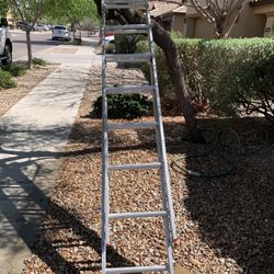 Extensión Ladder 16”