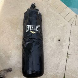 Everlast punching bag 75lbs