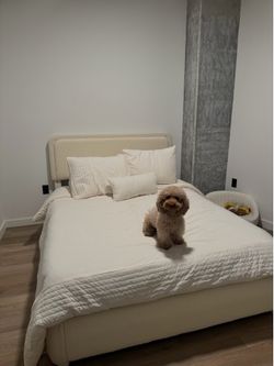 BED FRAME & MATTRESS