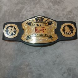 Tag Team Champion WWE 2005 