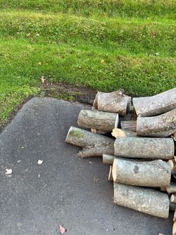 Logs