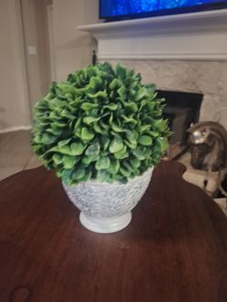 Fake plant