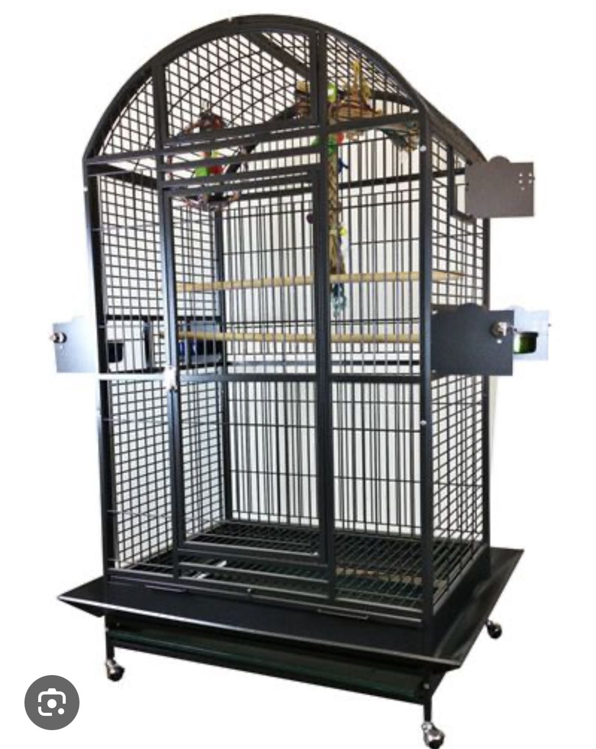 Bird Cage