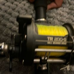 Shimano Real And Penn Rod 