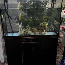 50 Gallon Fish Tank Aquarium 