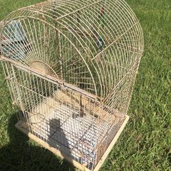 Bird Cage