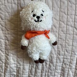 BTS RJ Plush Toy | Good Condition