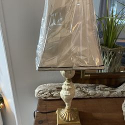 Beautiful Shell Lamp