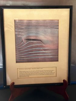 Framed photograph low speed flight