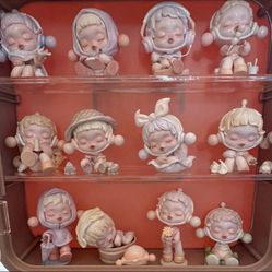 Pop Mart Skull Pandanda Warmth Series Case Plus Set Of 12