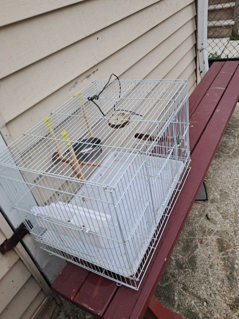Bird Cage For Free