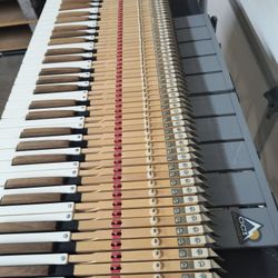 Allen Organ Keyboards