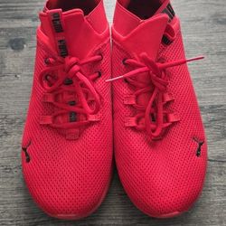 Red Pumas