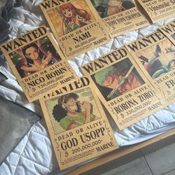 One Piece Wanted Posters 
