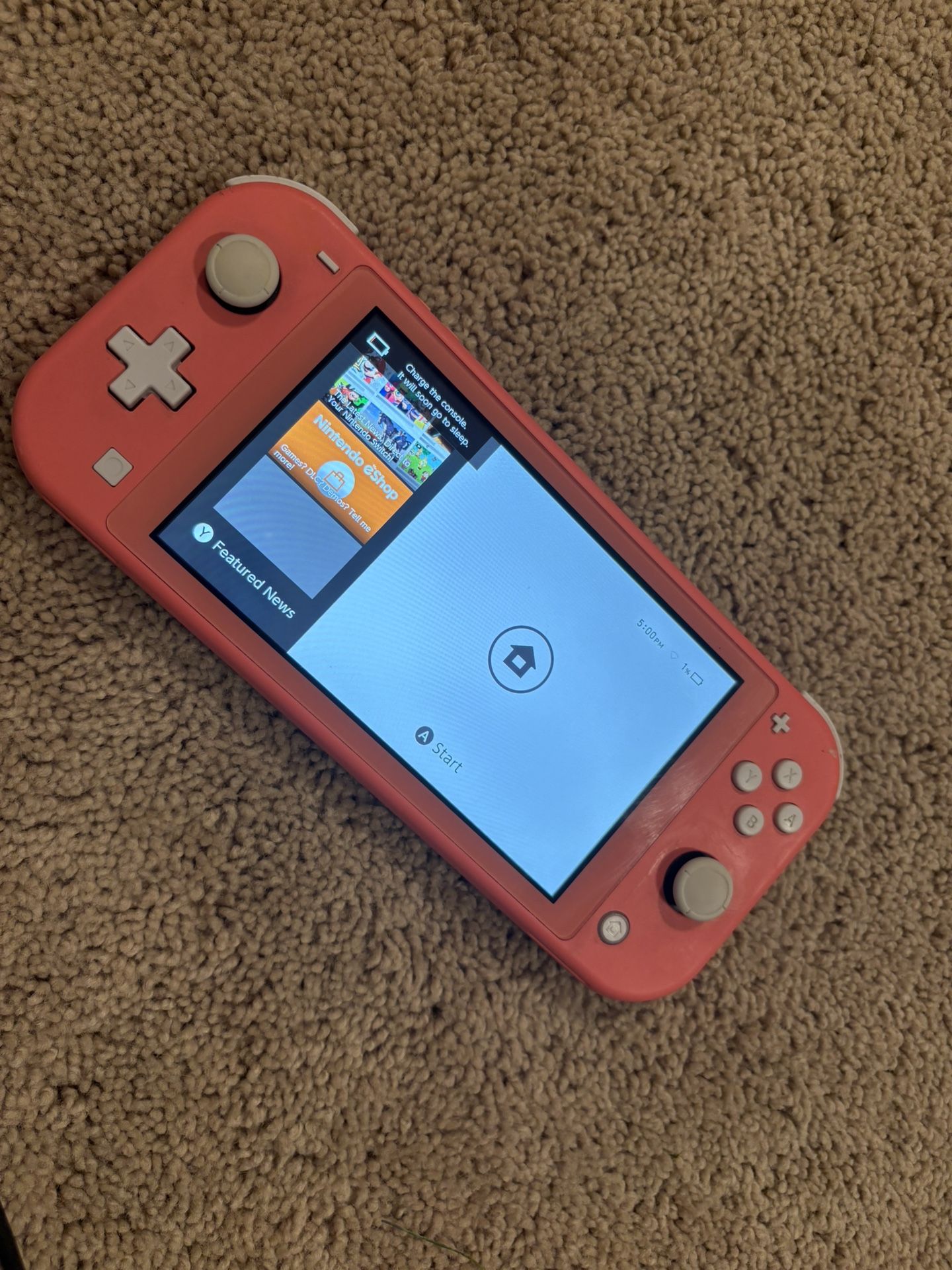 Nintendo Switch Lite