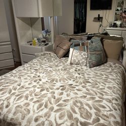 Almond Lacquer Queen Bedroom Set
