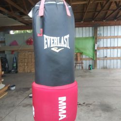 MMA Punching Bag