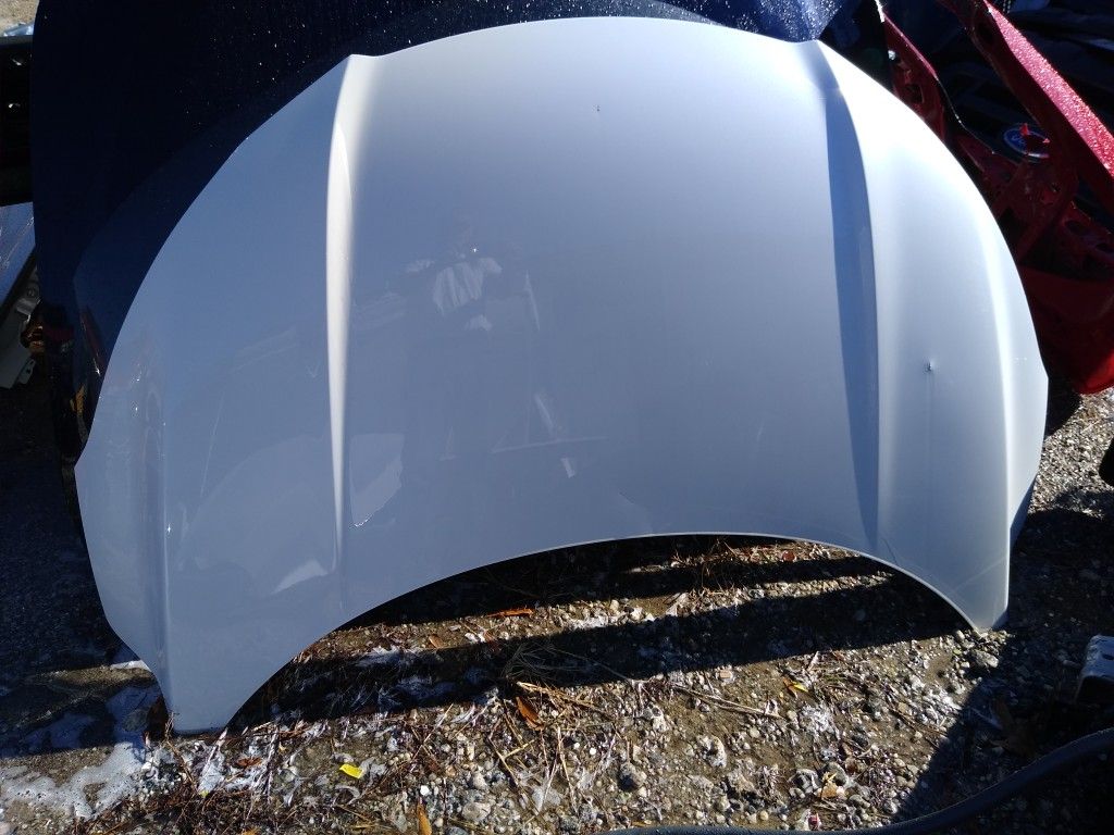 2019 Honda Civic Hood