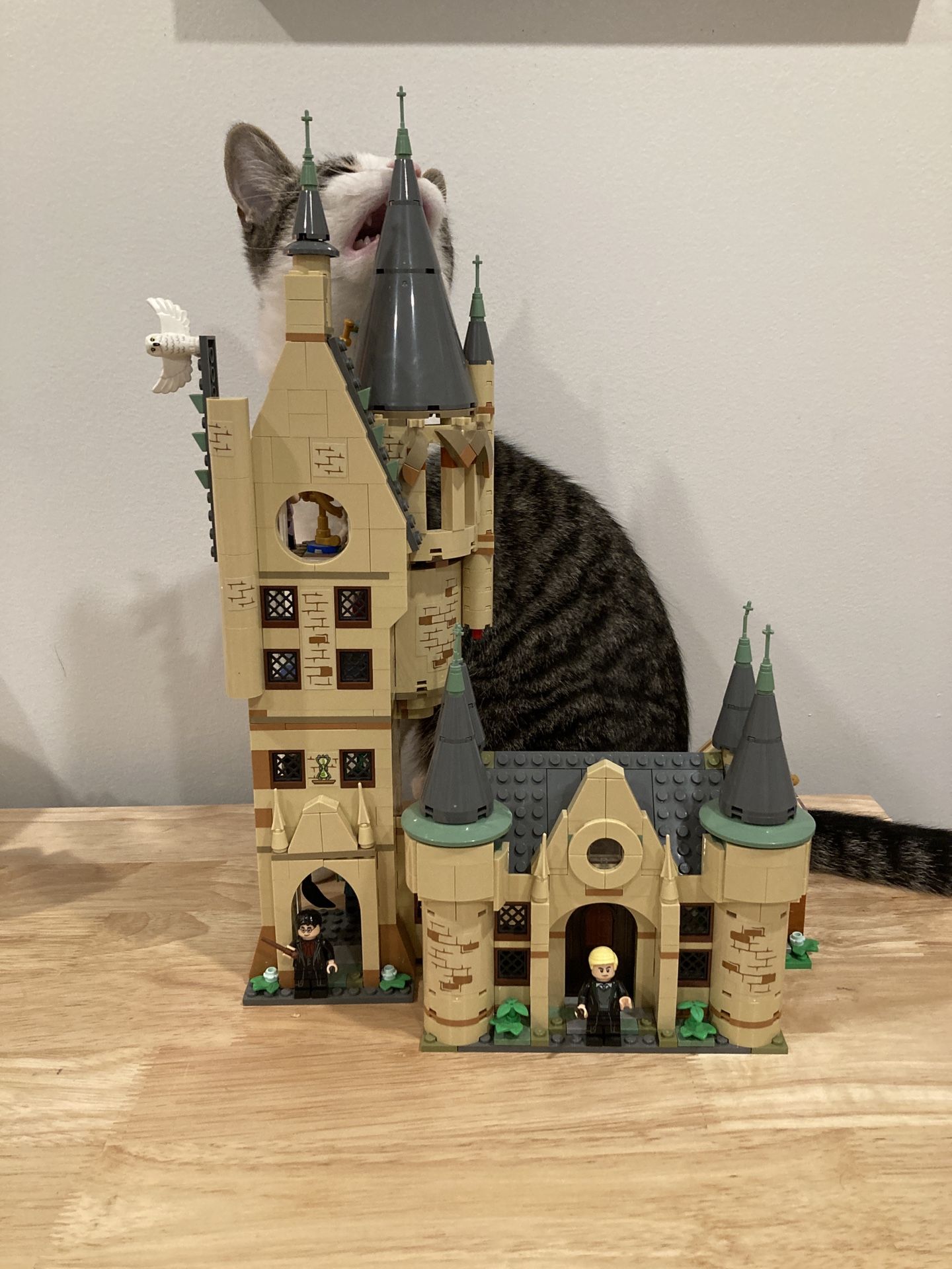 LEGO Harry Potter Hogwarts Astronomy Tower