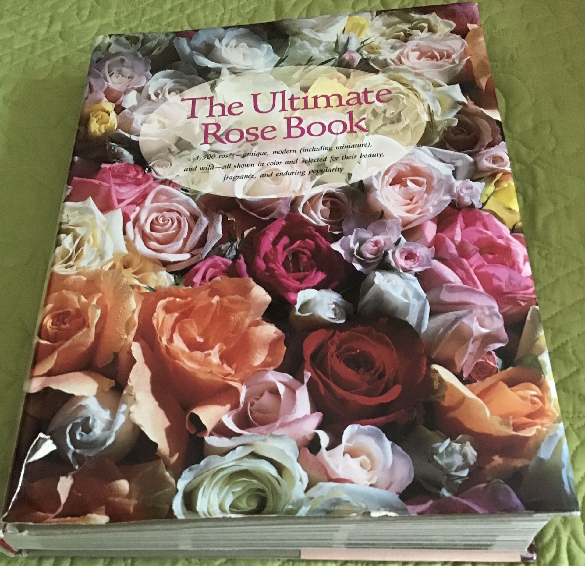 Fabulous “The Ultimate Rose Book”