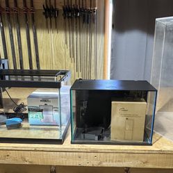 Aquariums and Supplies