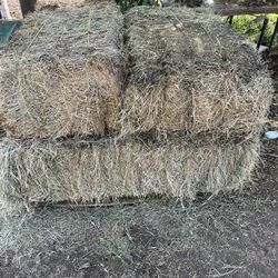 Livestock Hay 10 Dollars 