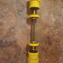 dumbbells and a barbell