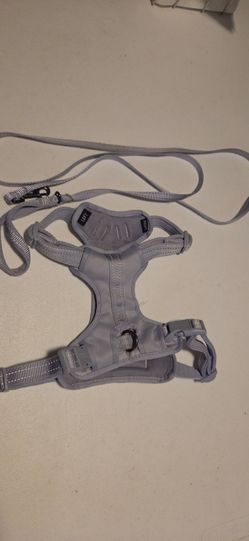 Lilac harness and leash