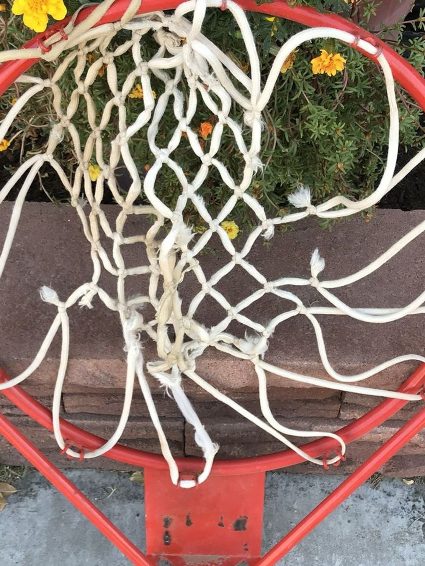 SALE- Basketball Hoop With Wall Mountable Backboard- Complete